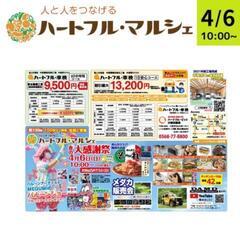 メダカ販売の画像