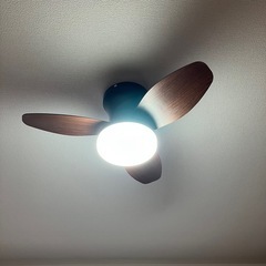 LEDシーリングファンライト 調光調色 8-10畳
の画像