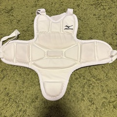 空手　子供用　防具
