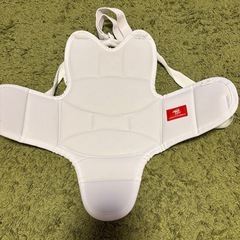 空手　子供用　防具
の画像