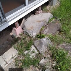 庭石多数【値下可】の画像