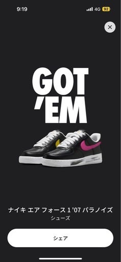 NIKE AIR FORCE 1 PARANOISE パラノイズ3.0 27.0