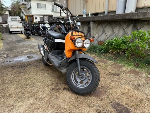 大人気‼️ズーマー50‼️