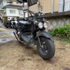 王道‼️ブラックズーマー‼️の画像