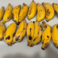 島バナナ🍌　②