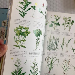 【お値下げ】図鑑　3冊セットの画像