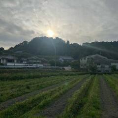 農業機械、農業資材、ハウス譲って下さい。