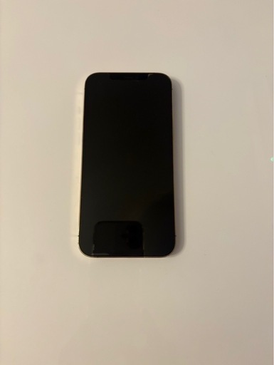 iPhone12 Pro Max 128
