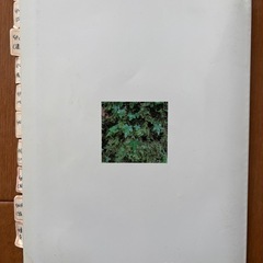感染症診断に役立つグラム染色　永田邦昭　カラーアトラスの画像