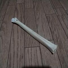 最終値下げ‼️未使用✨鹿の骨　ワンちゃんのストレス発散用のカミカミ、玩具や、珍しい物好きな方やインテリアや難しい物好きな方などの画像