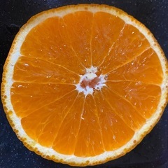 訳あり🍊清見オレンジ　サイズ混合🍊10キロ🍊2000円🍊🍊ご家庭用に