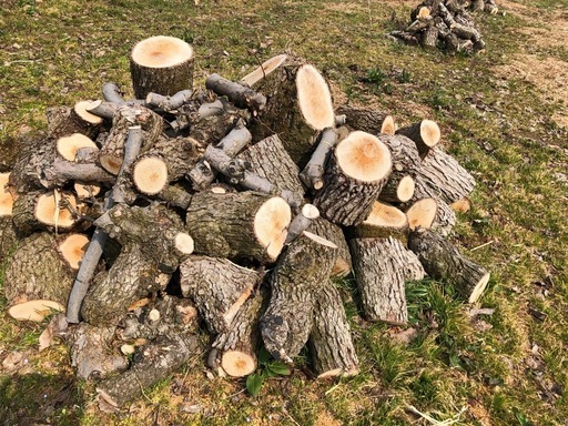 薪用の梨の玉切り 3トン 5月連休までに引取り限定(福島市) 条件付 薪用の梨の玉切り 3トン 5月連休までに