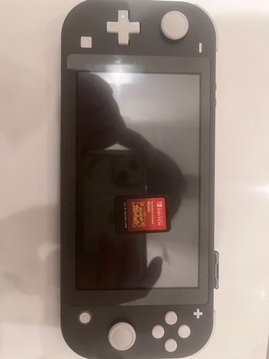 任天堂スイッチライト