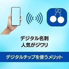 シンプルページ制作＋サーバ管理3年分＋デジタルチップが12500円税込(リアル制作２時間で完成します。)の画像