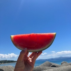 ４月２０日(日)シュノーケル🤿＆ジェットスキー＆手巻き寿司パーティー🎉