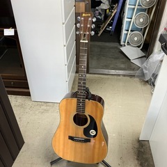 Y2504-032 Morris W-15 アコースティックギタ...