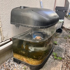 水槽　屋外日陰保管