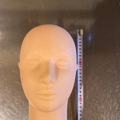 アートメイク　練習用　エステの画像