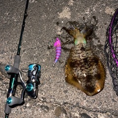 千葉釣り仲間を探しています