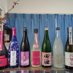 【4/6(日)】日本酒でお花見in大宮公園🌸初参加、お一人様大歓迎！