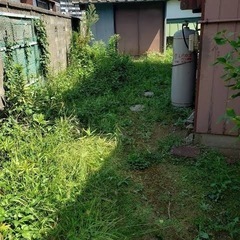 お庭のお手入れ