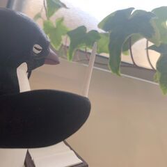 ペンギンの指揮者　ペーンスタギンの画像