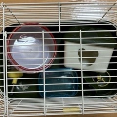 小動物　ハムスター　飼育セット