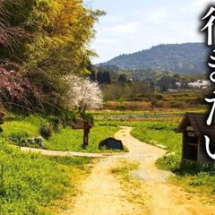 【5月24日】日本史上最古の道 山辺の道ハイキング
