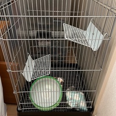 フクロモモンガゲージ　