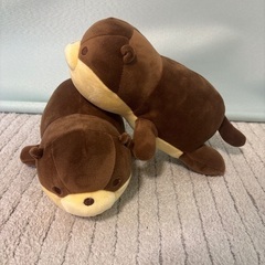 コツメカワウソ２つ