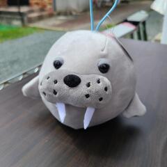 セイウチ ぬいぐるみ