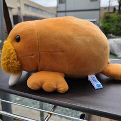 セイウチ ぬいぐるみ うみたまごの画像