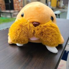 セイウチ ぬいぐるみ うみたまごの画像