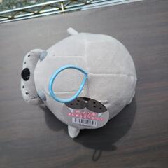 セイウチ ぬいぐるみの画像
