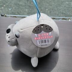セイウチ ぬいぐるみの画像