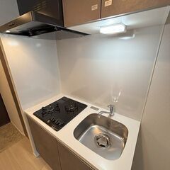 ～新築マンション～ペット飼育可（大型犬・猫・多頭飼い可）～インターネットWi-Fi無料～❤️‍🩹敷金なし・礼金なし・仲介手数料なし❤️‍🩹一人暮らしにおすすめの１K🎵501 − 埼玉県