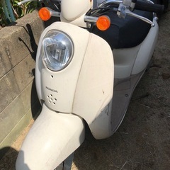 ホンダ　スクーピー　書類付レストアベース車