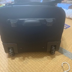 ドンキホーテで買ったキャリーバックの画像