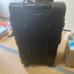 ドンキホーテで買ったキャリーバックの画像