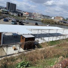 【耐久性抜群】強化スチール製カーポート・車庫用雨除けテント！防風・防水・UVカットで愛車をしっかり保護。組立簡単で、駐車場・倉庫・作業場にも幅広く活用可能！頑丈な設計で、長期間安心して使用できる屋外用シェルター！の画像