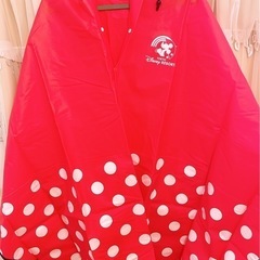 ディズニー購入品★ミニーちゃんの雨合羽
の画像