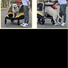犬用カート(大型犬)の画像