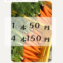 🆘まだたくさんあります😆地元農家の直送 人参🥕4本150円
