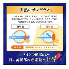 【業界最高水準 100mg 配合】 高濃度 ルテイン サプリメント 1ヶ月分の画像