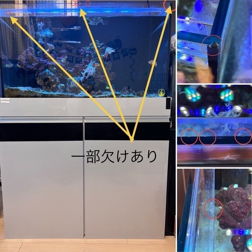 海水水槽　90センチ