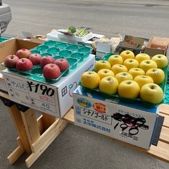 黄色🍎シナノゴールドSALEしてます☆