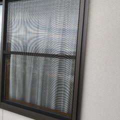 虫は平気ですか?網戸を張替えましょう!