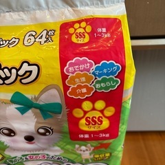 (決定！)SSSジャンボパック６４枚の画像