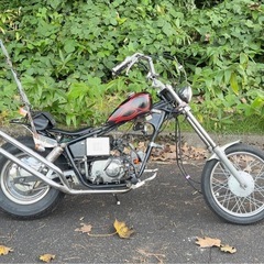 JAZZ50