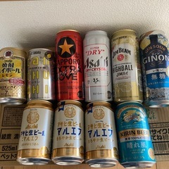 ビールやハイボールなどお酒10本